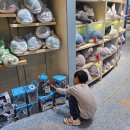 해양공원 공연장 | 아이와 상하이 하이창 해양공원 범고래쇼 할인티켓 상해여행