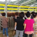 우드림농장 이미지