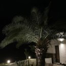 돈셰프흑돼지 | 제주 애월 맛집 돈셰프흑돼지