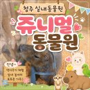 쥬니멀 | 청주 쥬니멀 동물원, 청주실내동물원 쥬니멀 다녀온 후기! 올여름 방학 청주 아이와 가볼만한곳 추천