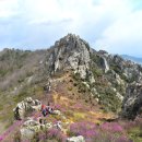 초강농장3 | 주작산과 덕룡산, 진달래꽃으로 물든 거친 암릉 길을 다시 걷다. - 2018년 4월 7일(토)