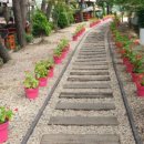 금산농협하나로마트비호점 이미지