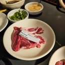 주천카 | [삿포로] 삿포로 1일차 저녁 맛집 스스키노 징기스칸 유우히 예약 없이 방문한 후기!