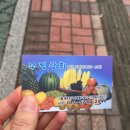 변동청과상회