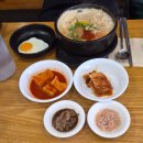 루트57 | 전주 당일치기 뚜벅이 여행 코스 총정리 영화의거리 한옥마을 맛집까지 25000보 이동 루트
