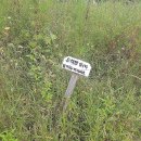 미림장 | 순천 가볼만한곳 드라마촬영장 꼭 가보세요