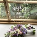 베리그리니