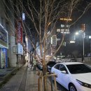 수원-0332 | 수원 영통 칵테일바 다온당 분위기 좋은 혼술바 후기