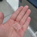 미건환경 | [공지] [이끌림케어] 2025 서울 카페쇼, 제빙기/커피머신 케어 업체는 어떻게 보고 왔을까요?