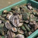 청정수산 이미지