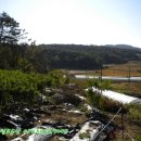 덕산 양계 이미지