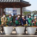 도개면 행정복지센터 이미지