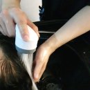 웰킨두피탈모센터시흥배곧