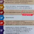 평택 고덕 눈이 편안한 노글루 속눈썹펌 오아결래쉬 스튜디오