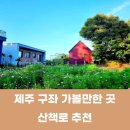 알지니포레스트 이미지