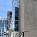 서울청담초등학교 | W12. 드레스 투어 본식 드레스 홀딩 솔직 후기 (쥬빌리브라이드, 르블랑, 소노) 👰🏻‍♀️👗