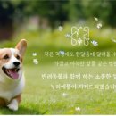 동물병원 누리에뜰 이미지