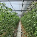 (주)남도환경 이미지