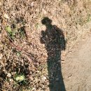 곡성-259 이미지