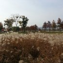 낙동강체육공원 족구장 이미지