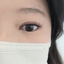 뷰티블로우 | 퀄리티 좋은 양주 고읍 속눈썹 연장 추천 리에라뷰티 방문 후기
