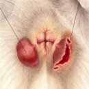 24시 블레스동물메디컬센터 이미지