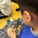 마리앤쥬 이미지