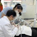 서울모두치과 이미지