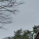 한보가든