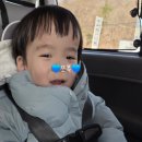 맘에든어린이집 이미지