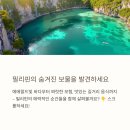 마할키타 | 🎯 친구가 알려준 비법이 대박! 필리핀 여행기,3년 만에 다시 찾은 천국 같은 섬 여행 꿀팁