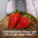 🍓신선한 제철과일맛집 FINE CROWN 푸릇송송 농장 킹스베리딸기 택배 후기
