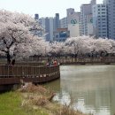 운천저수지 이미지