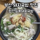 합천일류돼지국밥 - 창원시 성산구 | 부산 사상 국밥 맛집 합천일류돼지국밥 내돈내산 후기