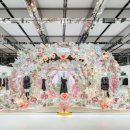 디올이네 이미지