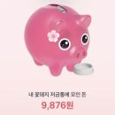 꽃돼지 이미지