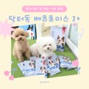 편식 심한 강아지도 잘 먹는 건강사료 베츠초이스 관절 플러스 급여 후기