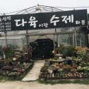 장암다육