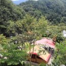 Najost Camp 티스토리