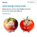 (주)엔트런스 | 사과가 되지 말고 도마도가 되라