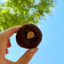 광주-송정-8 | 광주 송정역 맛집 빵집 쑥스초코파이 디저트 선물 포장 주차 후기