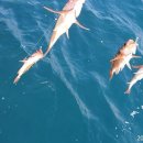 포항시남구장기면양포보건진료소 이미지