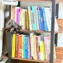 금전임천로-1 | [서울/중랑] 서울 신점 | 새해운세 궁금해서 다녀온 중랑 ’지윤아씨‘