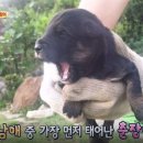 봉례농장 이미지