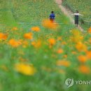 코스모스모텔 이미지