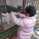 태우농장 이미지