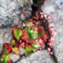 무주읍159 이미지