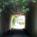 백봉이민진정려 이미지