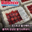 1296 | 성심당 딸기시루 사러 대전까지 가야하나 코스트코 케이크 맛이 진짜 비슷할까?