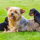 투게더 동물병원 이미지